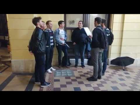 Klapa Palma - Mojoj lijepoj