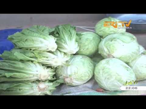 ERi TV Arabic Evening News from Eritrea for March 30, 2018