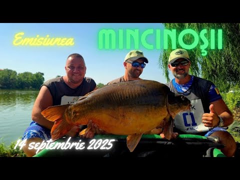 The Liars - September 14, 2025