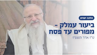 ביעור עמלק - מפורים עד פסח | הרב שמואל אליהו | הלכה יומית | ט״ז אדר תשפ״ו (הרב שמואל אליהו) - התמונה מוצגת ישירות מתוך אתר האינטרנט יוטיוב. זכויות היוצרים בתמונה שייכות ליוצרה. קישור קרדיט למקור התוכן נמצא בתוך דף הסרטון