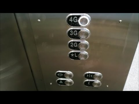 Scenic Haughton (m.b. Schindler) Hydraulic Lobby Elevator - One Mack-Cali Center - Tampa, FL