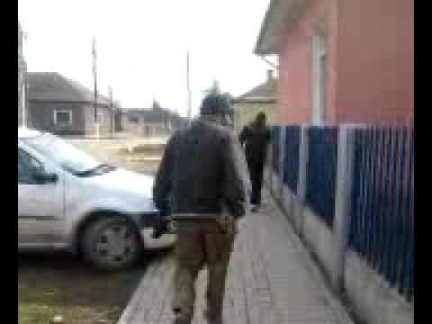 cermei lupu din cermei cauta mancare