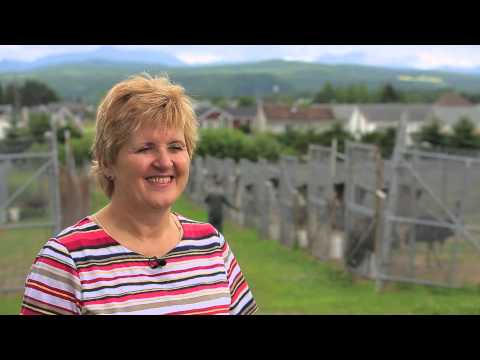 2015 - La Voie Agricole #1   Les émeus et les oeufs