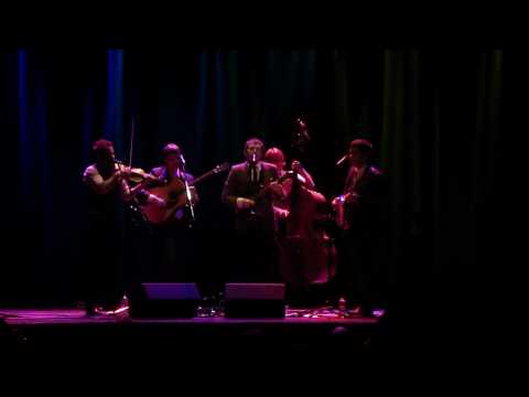 Punch Brothers - Love Fool (cover)