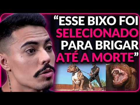 FE CONTA SOBRE SEUS CACHORROS