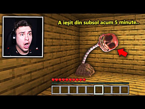 Am plecat 5 minute din subsol din casa mea.. și când m-am întors am găsit asta ! (Minecraft)