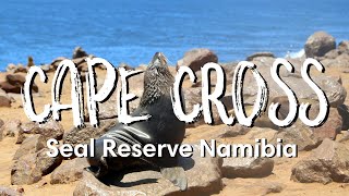 CAPE CROSS SEAL RESERVE NAMIBIA | Crazy facts!!