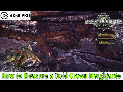 Monster Hunter: World - How to Measure a Gold Crown Nergigante Video