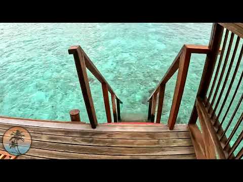 Reethi Faru MALDIVES Resort 🌊🌴 WATER Villa   | Room Tour 4K | Hotel Vlog