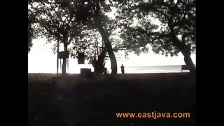 preview picture of video 'Bama Beach, Situbondo - East Java'