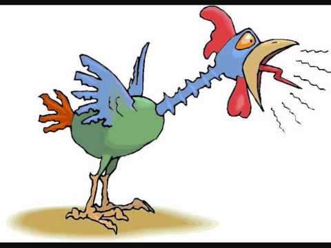 Zaraus - Nokun Ota.wmv