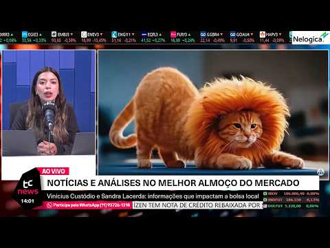 🔴 AO VIVO | BB SEGURIDADE BBSE3 BALANÇO, ENEVA DESPENCA ANEEL ENEV3, RAÍZEN RAIZ4, COTAÇÃO DÓLAR