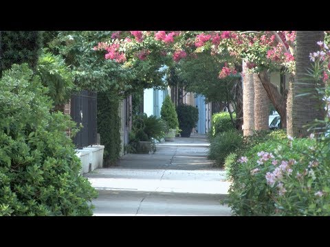 Making City Streets Safer with Florida Sidewalk Solutions | Inside the Blueprint