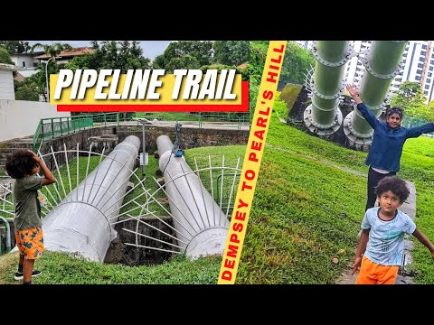 Pipeline Trail | Dempsey Hill to Pearl's Hill Park | Singapore Abondoned Hikes