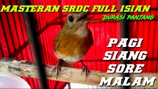 Download lagu Newest 2022 Masteran SRDC full long duration, clear sound,guarantees that your SRDC joins the topcer mp3