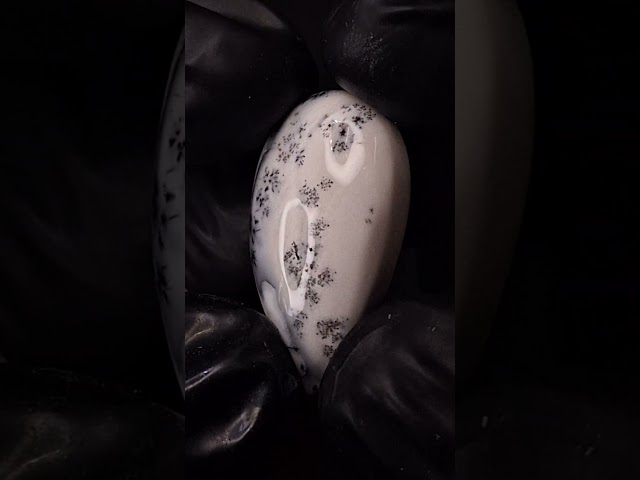 حجر اوبال شجري طبيعي