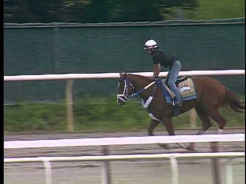 Guyana Star Dweej Gallop June 2