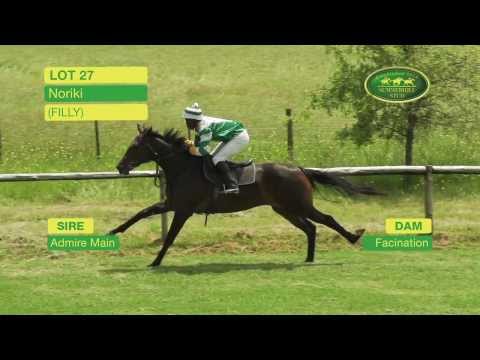 Lot 27 - NORIKI (Admire Main - Facination) Filly