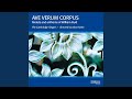Ave verum corpus