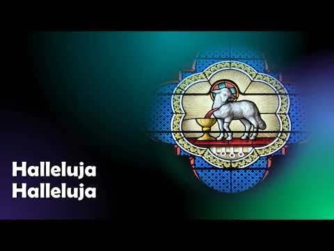 Opwekking met tekst 506 Zing het lied van het Lam (versie 3)