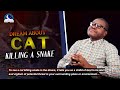 Dream About Cat Killing A Snake Dream Meaning And Symbolism