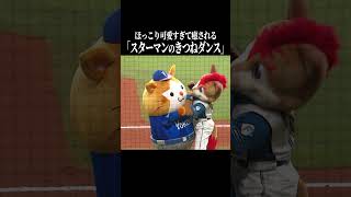 【ハムスターは…】ケージでこんな動きをする #shorts