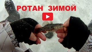 Почему ротан не клюет в январе