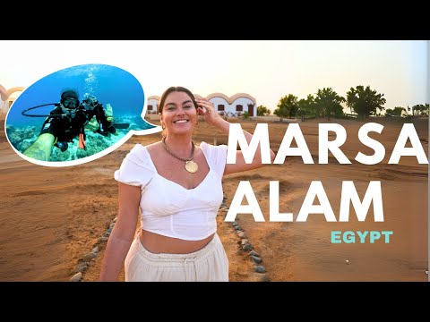 Marsa Alam, Egypt: Diving - Swimming with Dolphins, Turtles, and Sharks!
