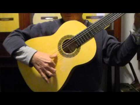 New Ethan Deutsch Flamenca Blanca Guitar, December 2015
