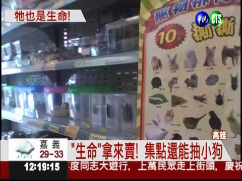"生命"拿來賣! 文具店販售松鼠.兔
