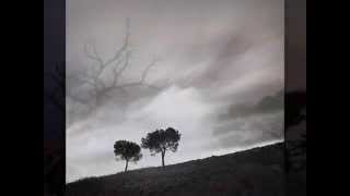 Un mondo a parte - Ludovico Einaudi - guitar cover