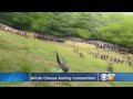 Video Running Down Steep Hill After Wheel Of Cheese