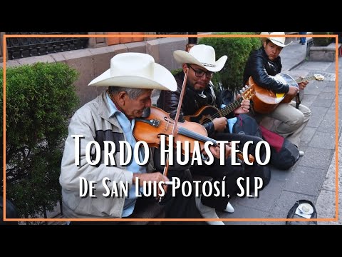 Trío Tordo Huasteco de San Luis Potosí SLP