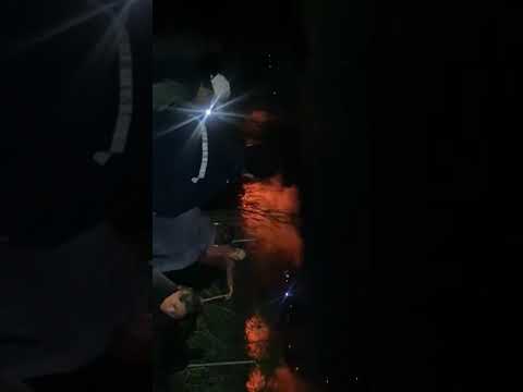 Reportan incendio en Municipio de Colpa Bélgica, esperan llegada de bomberos Noticia en Desarrollo.