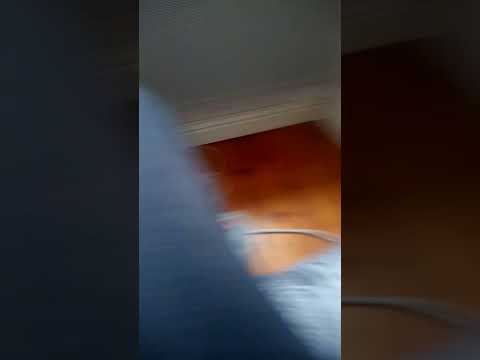 𝑪𝒂𝒅𝒆𝒂𝒖 𝑪𝒆𝒍𝒆𝒔𝒕𝒆/𝑫𝒆𝒔𝒐𝒍𝒆𝒓 𝒋𝒂𝒊 𝒔𝒕𝒓𝒆𝒔𝒔𝒆𝒓 -