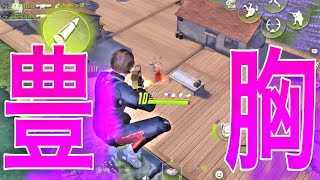 「貧乳は希少だ!!!豊胸などしてない!!!」リカ身の潔白主張wwww【りっぷらいんch】【サイバーハンター】【神配信】#6