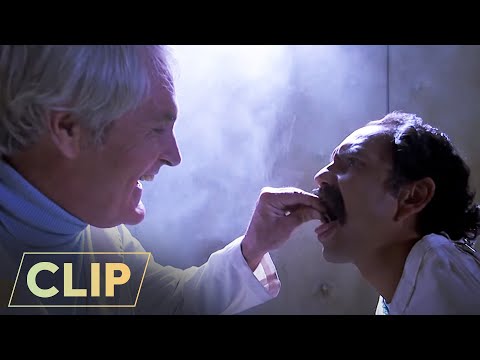 Stuck in the Nuthouse | Cheech & Chong's Nice Dreams | Cheech Marin, Paul Reubens