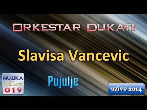 Slavisa Vancevic UZIVO - Pujulje pujulje // MuzikaUzivo019