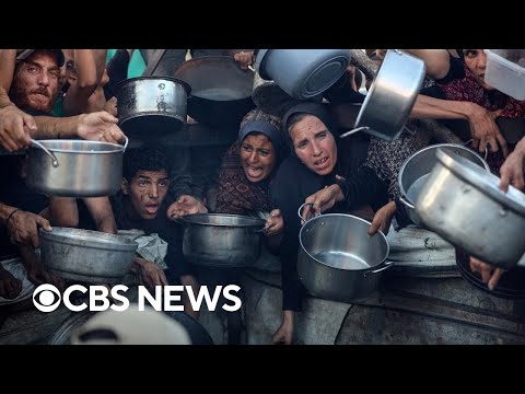 Dozens of people killed in Gaza while trying to seek aid, officials say