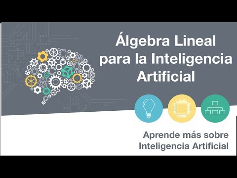 ÁLGEBRA LINEAL PARA INTELIGENCIA ARTIFICIAL | 7 Aprende más sobre Inteligencia Artificial