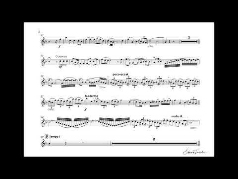 Neruda, Johann - Concerto for trumpet - Timofei Dokshizer trumpet Bb