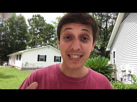 Quais São as DUAS Coisas que Nossos Cães Esperam da Gente - Papo Cão