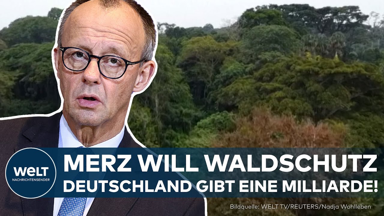 DEUTSCHLAND: Milliarden-Zusage für neuen internationalen Waldschutzfond