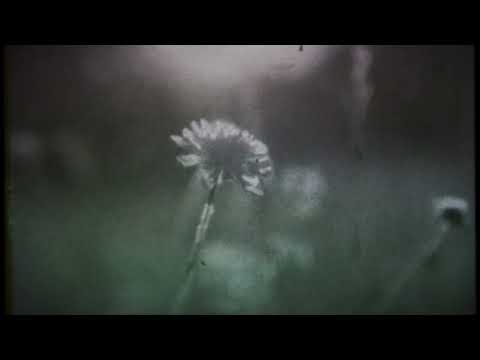 16BL, Wild Dark, Megan Morrison - Shadows On The Wall (16BL Mix)