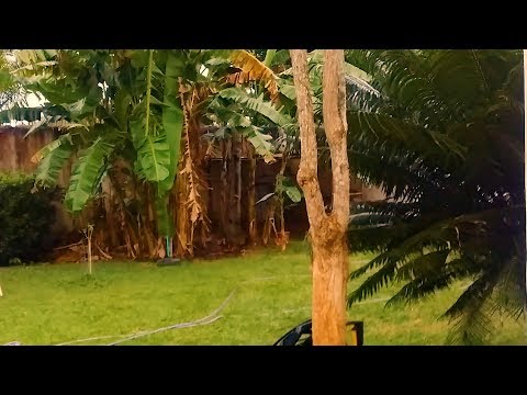 1707- Meus BICHOS SOMEM no FRIO