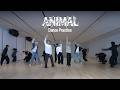 Choreography|BOYNEXTDOOR (보이넥스트도어) ‘ANIMAL’ Dance Practice
