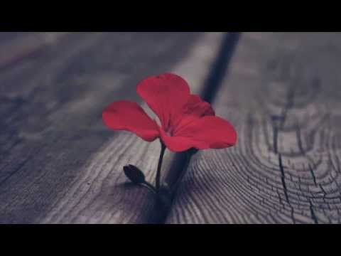 Como un pintor- Jarabedepalo feat Modà