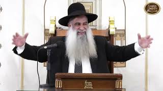 הרב שי פרי - מוסר מגוי שיודע...🫡| Rabbi Shai Perry