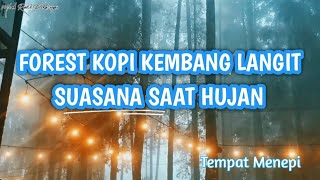 Download lagu FOREST KOPI KEMBANG LANGIT BATANG Saat Hujan, Huawei Mate 20 Pro, Honey Take My Hand #cutiawaltahun mp3