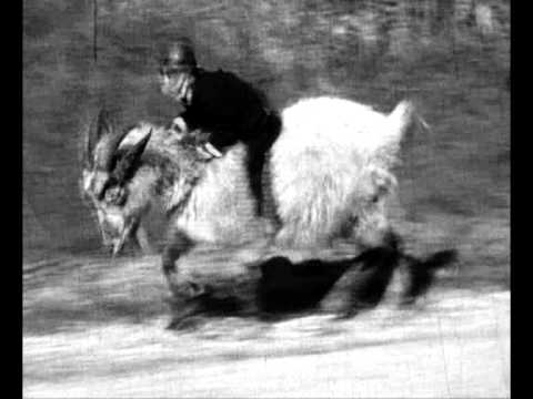 Cut 'n' Bass- Rast Sizzle